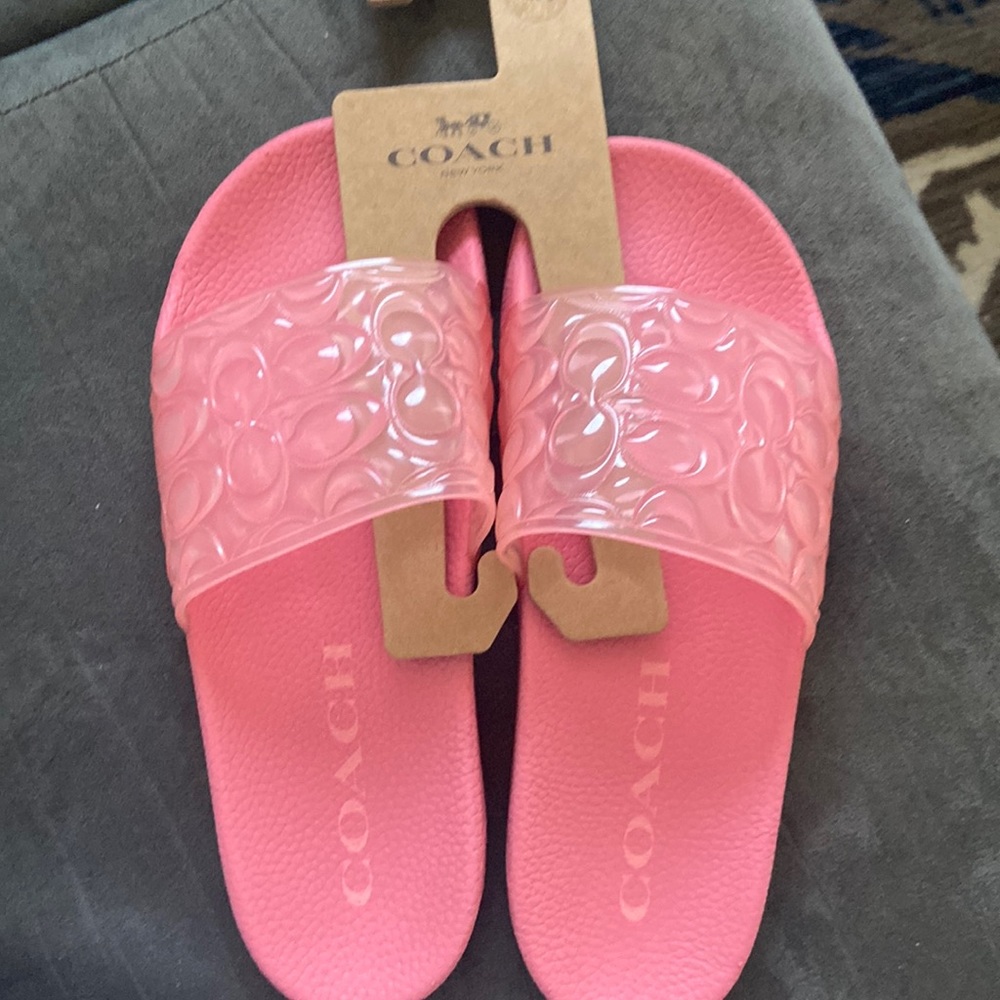 Coach slides